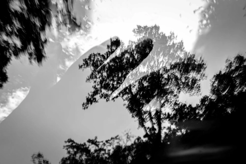 81849d 0d69556c19a8464ca79a25884c5d5584mv2