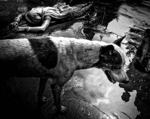 81849d 230bdb1c3ec74541814588842053e288mv2