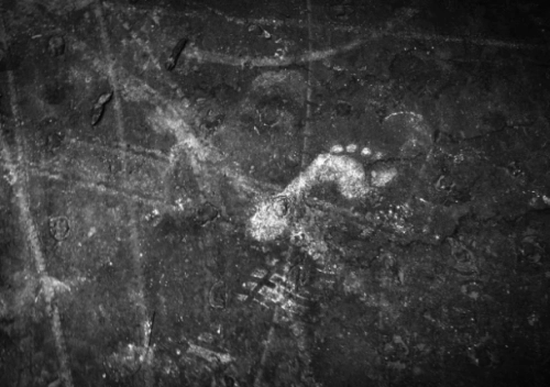 81849d 2f1a9da3a19b411e8b0732bbe9ef3ec5mv2