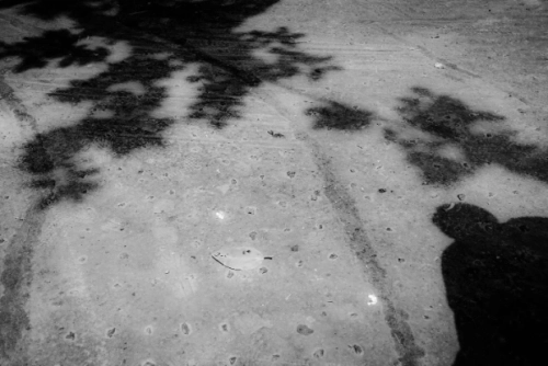 81849d 32ad2058a1bc4461b1e2a5a033d98562mv2