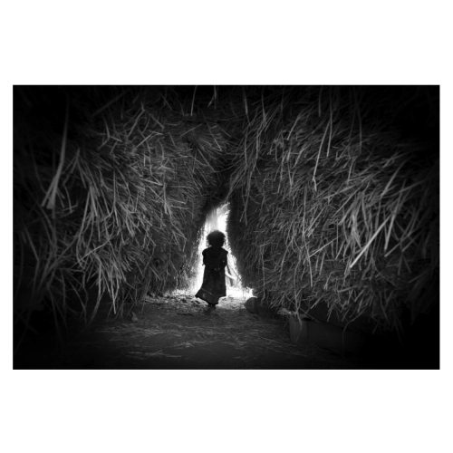 81849d 42c36b2846184fe99c5037d6d4acf645mv2