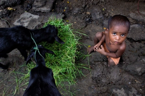 81849d 66fe644f81154818b6d58e68afc3de75mv2