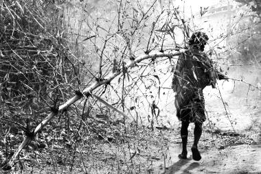 81849d 71be966851e2444ea49b1a80c65ba0b3mv2