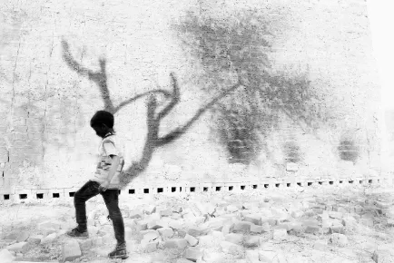 81849d 9625501bf4494698bd7d79a1de7f6018mv2