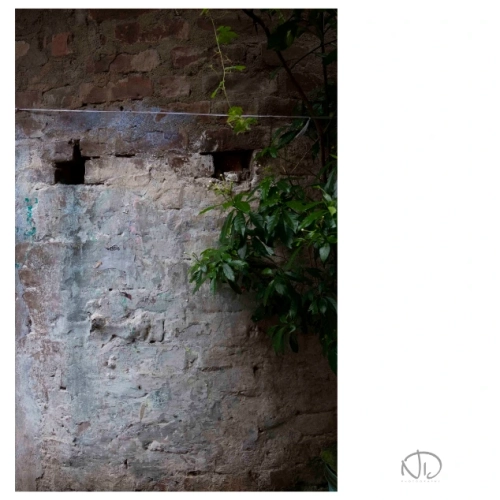 81849d 99eaa9ea50304d96a289d2e52abd305emv2