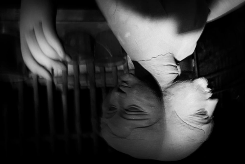 81849d a6a499447a5e48f1b44bb9f3763857e8mv2