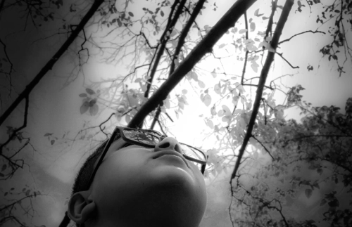 81849d cb203dab1ff44ce49c1ee811a2df4df3mv2