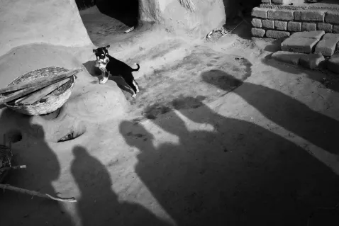 81849d d2ab812e9eb6448ba6cf117222003979mv2