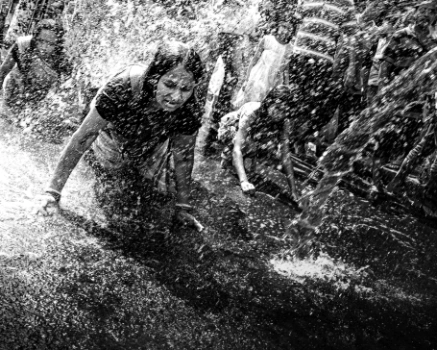 81849d db70740db9374fd0814acad4485b8ff9mv2