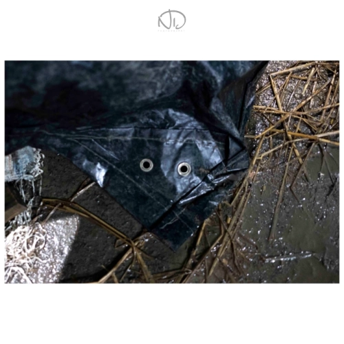 81849d fe97d893ac784730a0358962ad616d10mv2